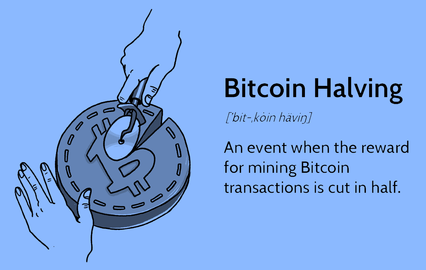 Open Season? What is the bitcoin halving?