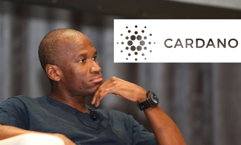 Arthur Hayes criticizes ADA, says "no popular dapps on Cardano"