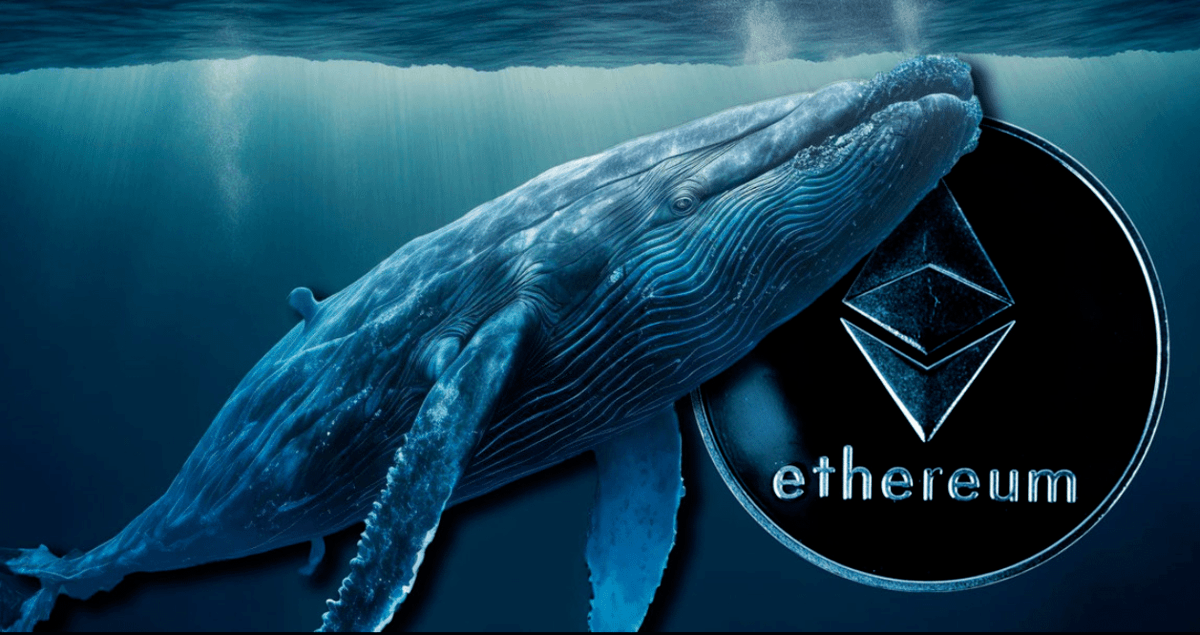 blockchain crypto cryptocurrency eth whale activity increases (SpotedCrypto)