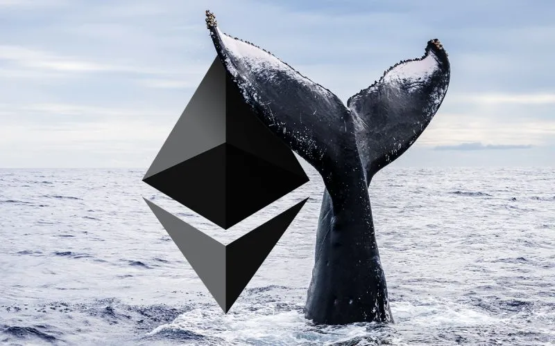 blockchain crypto cryptocurrency eth 3K whale (SpotedCrypto)