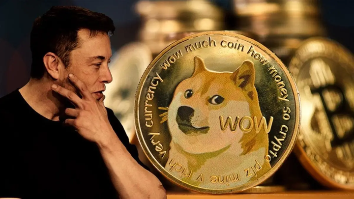 blockchain crypto cryptocurrency Dogecoin can rally after Bitcoin Halving (SpotedCrypto)
