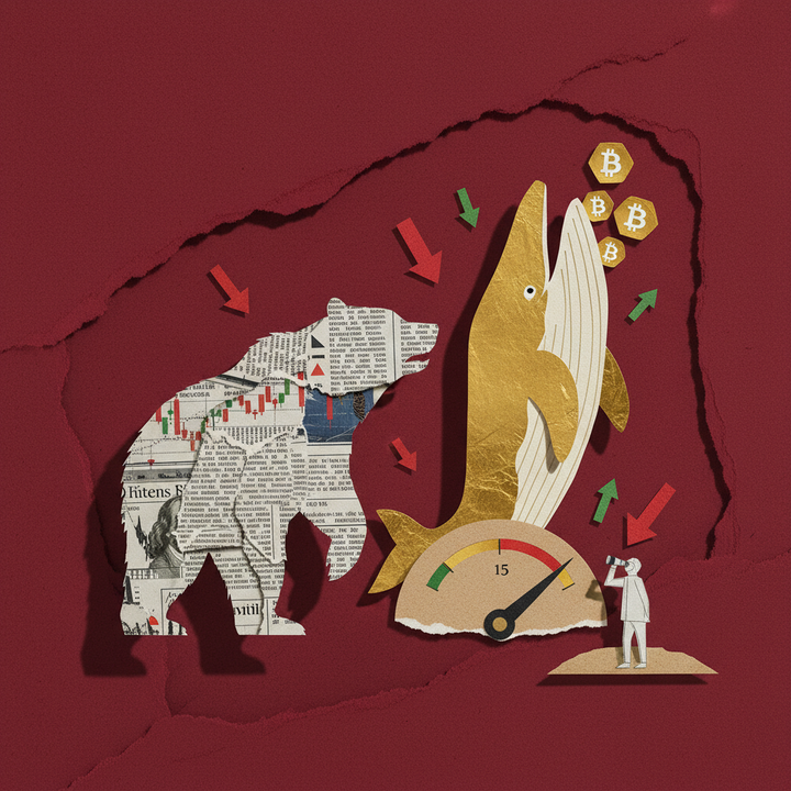 극단적 공포 시장에서 고래가 비트코인을 매집하는 모습을 표현한 페이퍼컷 콜라주 일러스트레이션